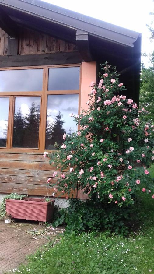 Il Pettirosso Di Giusvalla Exterior foto