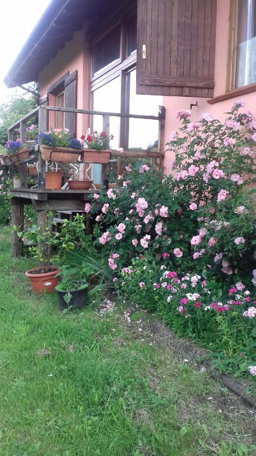 Il Pettirosso Di Giusvalla Exterior foto