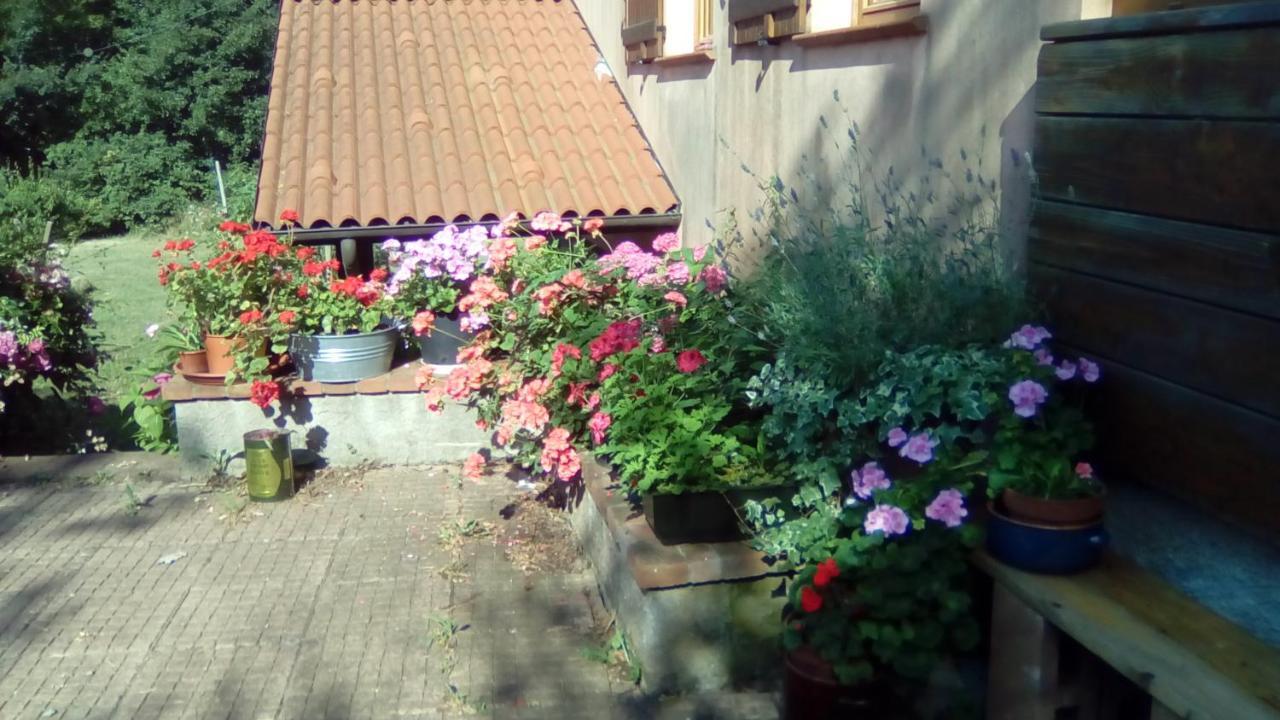 Il Pettirosso Di Giusvalla Exterior foto